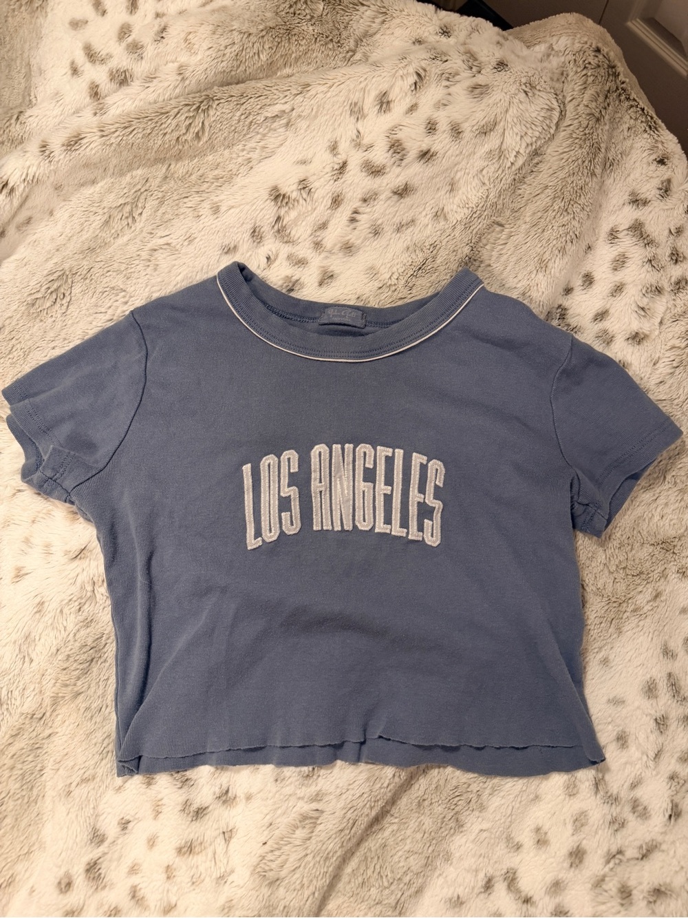 J. Galt Brandy Melville Los Angeles Graphic Baby Tee Cropped Faded Blue